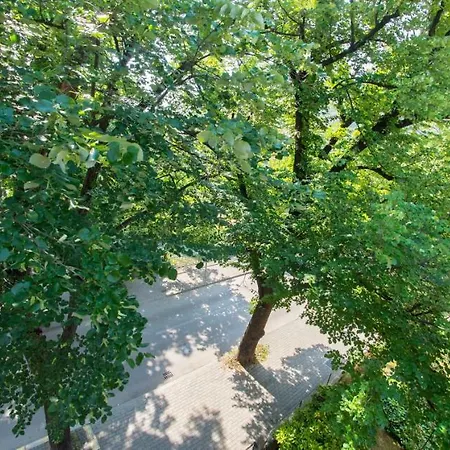 아파트 Apartment Residence Inn *